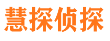 佳县市调查取证